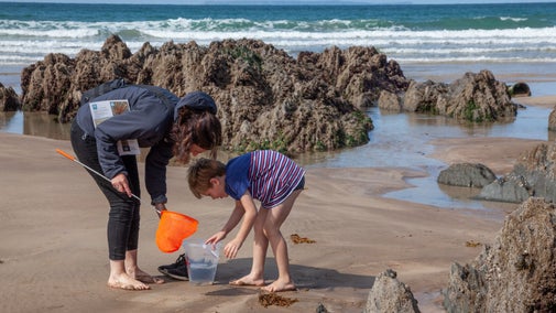A child and adult peer into a bucket on Woolacombe beach while rockpooling